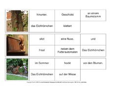 Sätze-bilden-Eichhörnchen 5.pdf